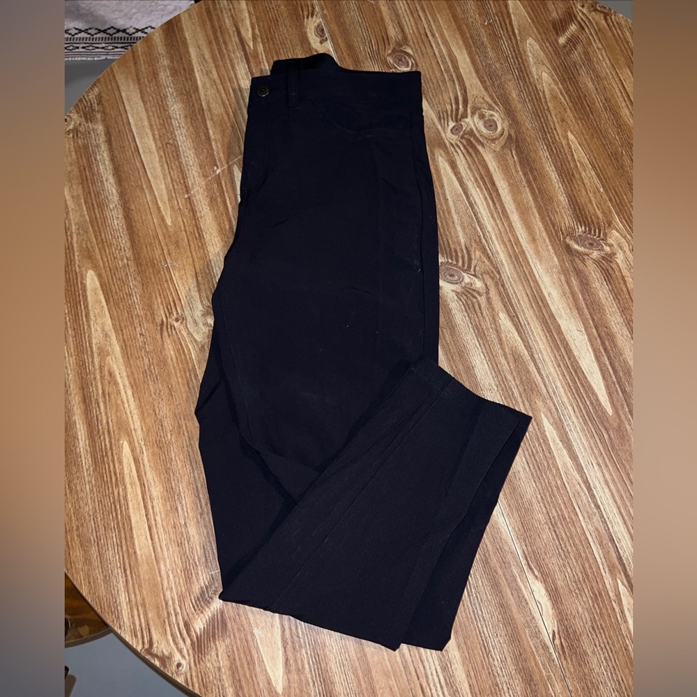 Patagonia Skyline Traveler Pants women’s size 12